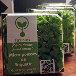 Roquette Boites de 70gr/ sur commande