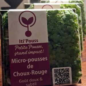choux rouge 70gr/ sur commande