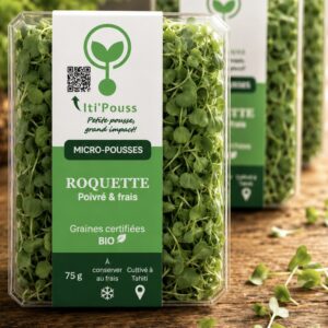 ROQUETTE Boite de 75 gr / sur commande