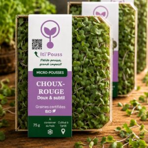 CHOUX ROUGE boite de 75 gr/ sur commande