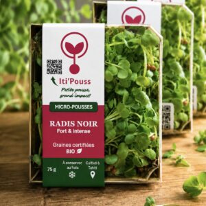 RADIS NOIR Boite de 75 gr/ sur commande